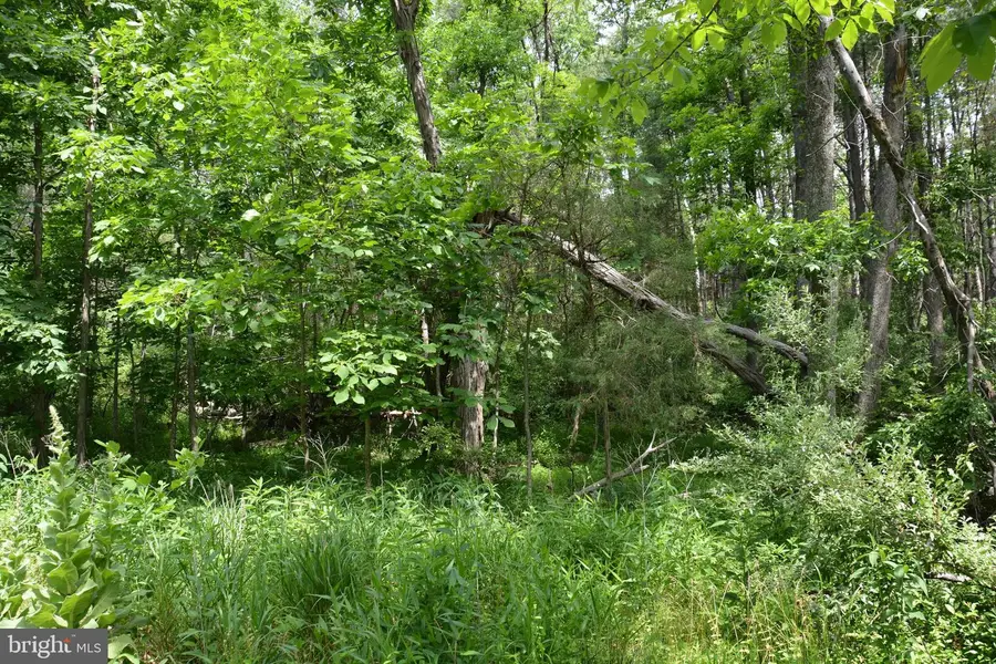 Two Lots On Siler Rd, Winchester, VA 22603 - #3