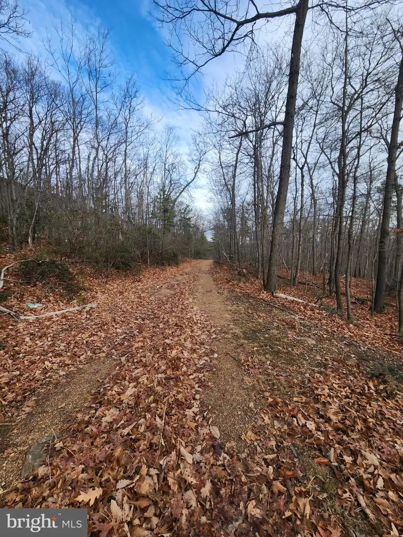 Belwort Trail, Star Tannery, VA 22654 - #1
