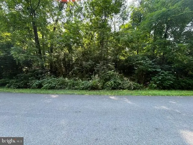 0 Joine Dr, Clear Brook, VA 22624 - #1