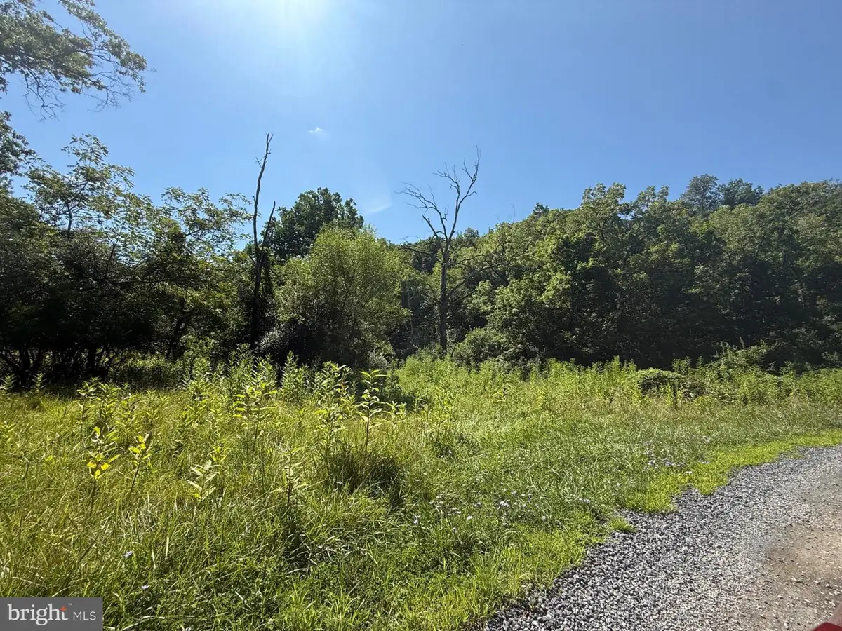 Tbd Forgotten Ln, Clear Brook, VA 22624 - #1