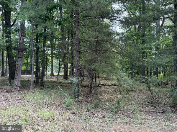 Lot 95 Logger Drive, GORE, VA 22637