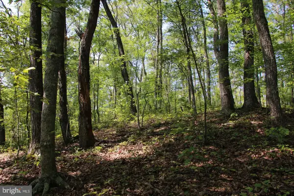 Jeans Meadow Ln, GORE, VA 22637