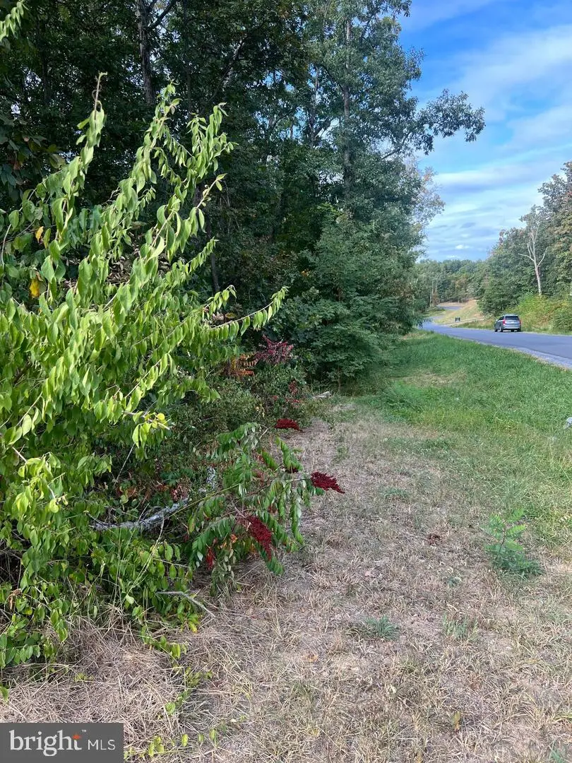 Lot 2 Covey Lane, Winchester, VA 22602 - #2