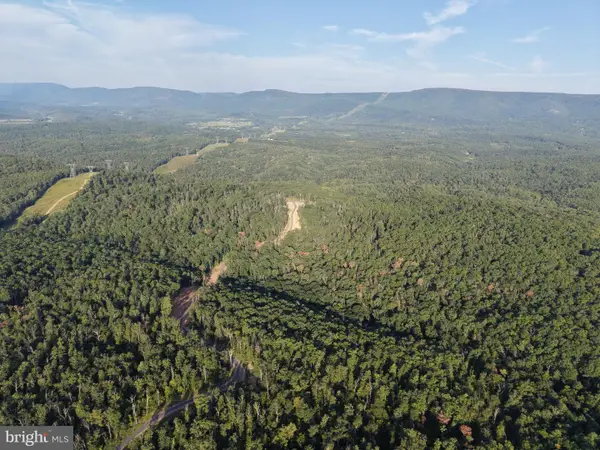 310.87+/- Acres Off Laurel Grove Rd, WINCHESTER, VA 22602