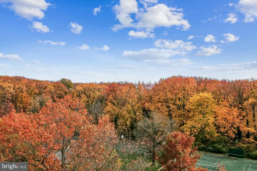 6621 Wakefield Dr #910, Alexandria, VA 22307 - Image #2