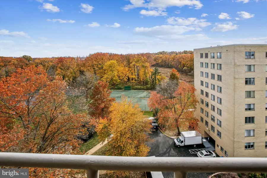 6621 Wakefield Dr #910, Alexandria, VA 22307 - Image #3