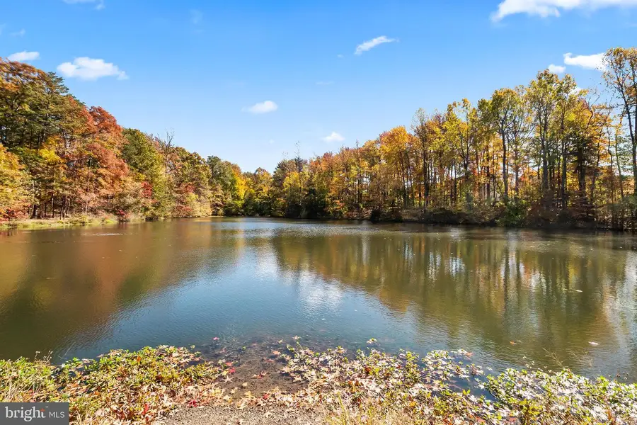 6611 Netties Ln #24l, Alexandria, VA 22315 - Image #3