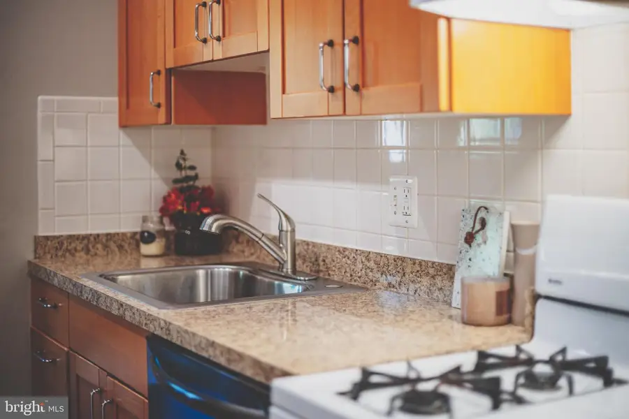 11260 Chestnut Grove Sq #339, Reston, VA 20190 - Image #3