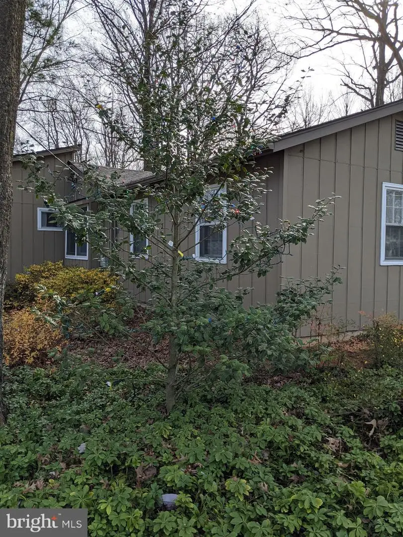 323 Owaissa Rd Se, Vienna, VA 22180 - Image #2