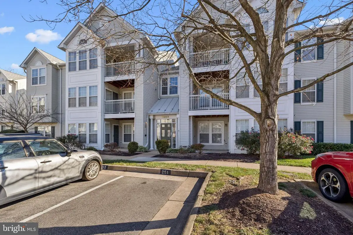 7503 Calderon Ct #g, Alexandria, VA 22306 - Image #1