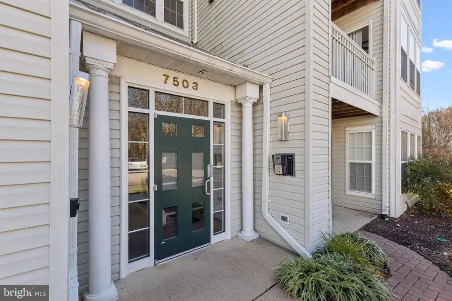 7503 Calderon Ct #g, Alexandria, VA 22306 - Image #3