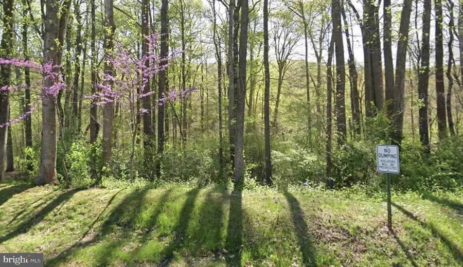 10505 Greene Dr, Lorton, VA 22079 - Image #2