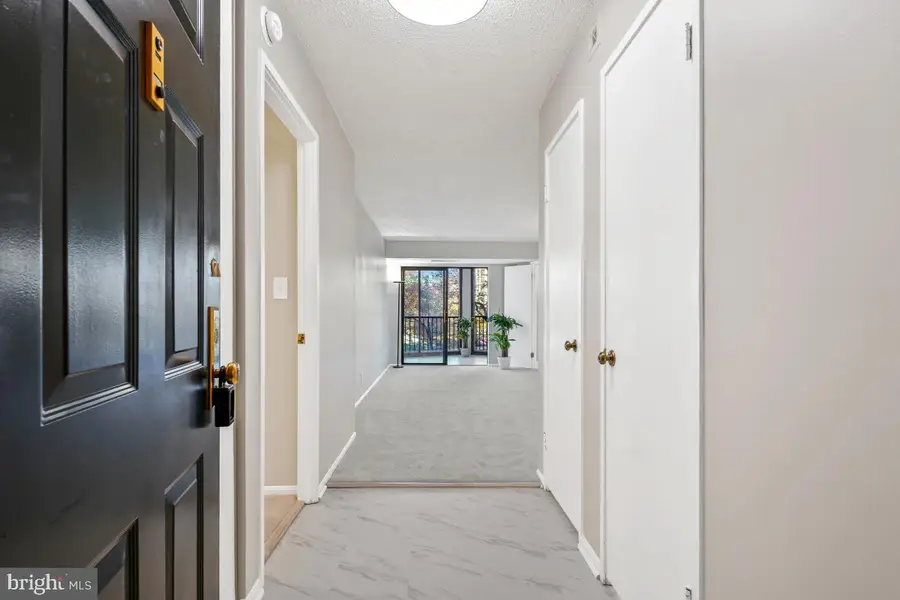 5902 Mount Eagle Dr #303, Alexandria, VA 22303 - Image #3