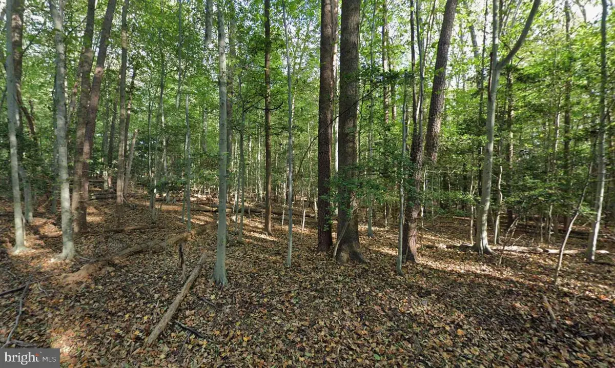 161 Yarnick Rd, Great Falls, VA 22066 - Image #1