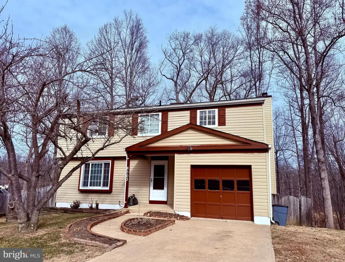 8303 White Star Ct, Springfield, VA 22153 - Image #1