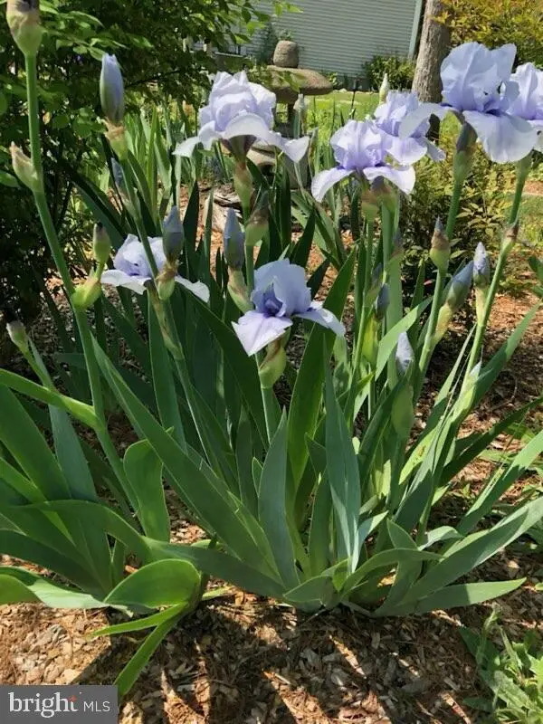 6125 Sandstone Ct, Clifton, VA 20124 - Image #3