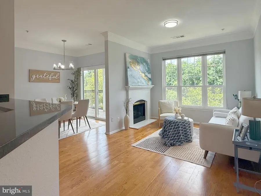 1530 Spring Gate Dr #9317, McLean, VA 22102 - Image #2