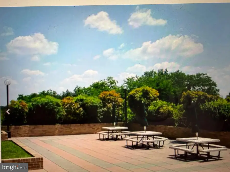 3709 S George Mason Dr #1014e, Falls Church, VA 22041 - Image #3