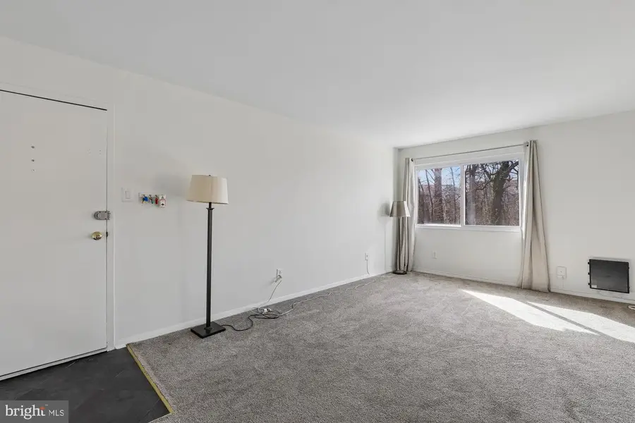 8000 Le Havre Pl #13, Falls Church, VA 22042 - #3