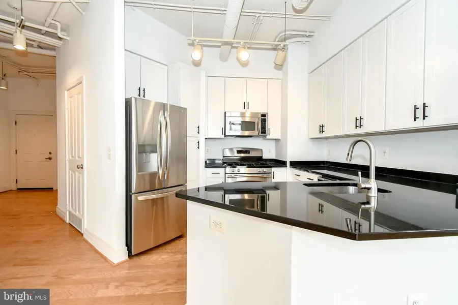 4490 Market Commons Dr #302, Fairfax, VA 22033 - #3