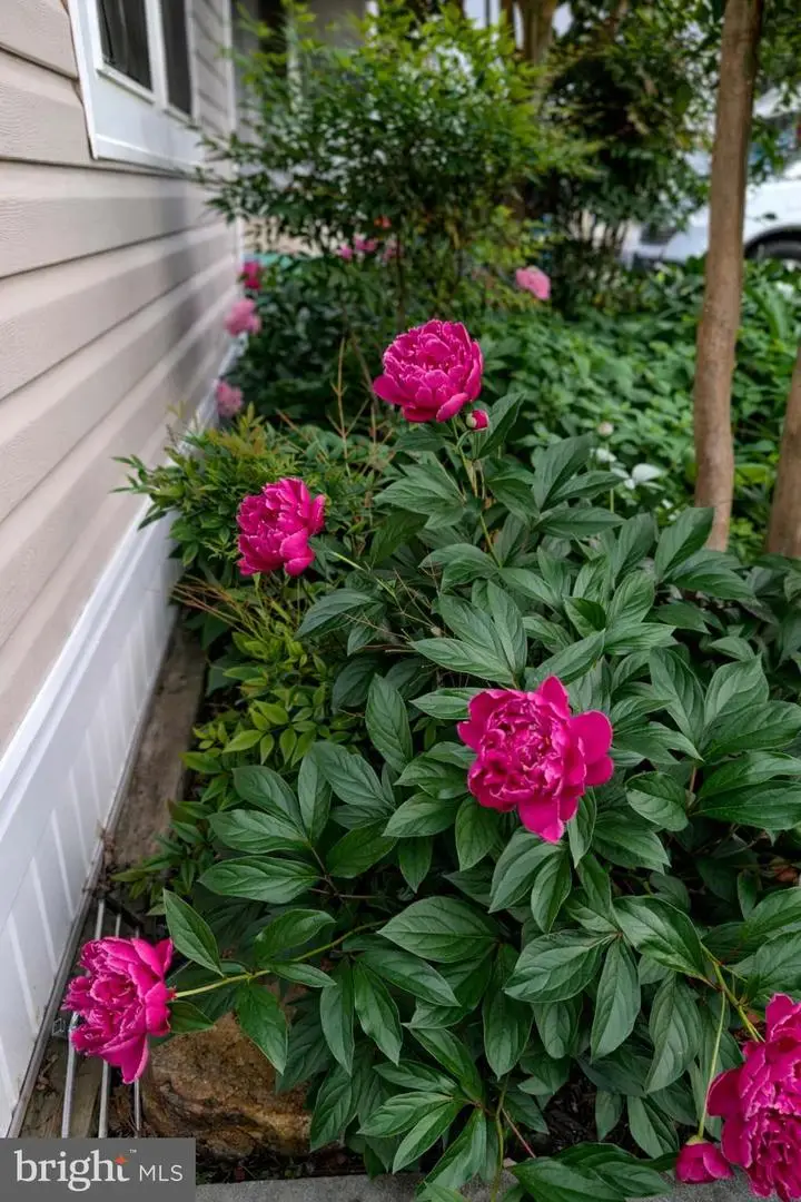 11283 Mobile Drive, Fairfax, VA 22030 - #3