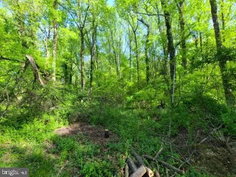 Honeysuckle Trl, Lorton, VA 22079 - #2