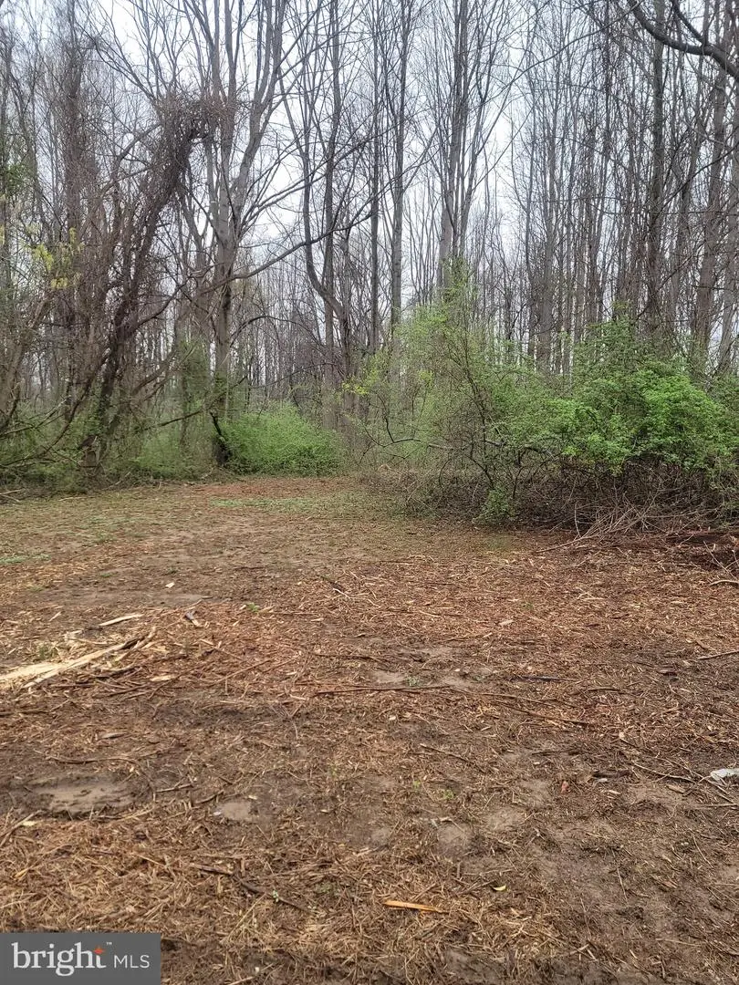 Winfield Dr, Fairfax, VA 22030 - #2