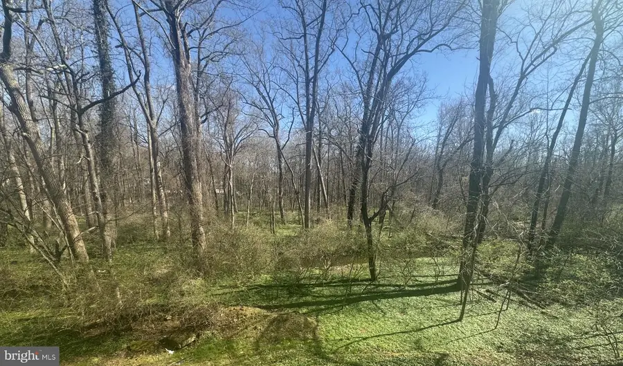 3311 Mantua Dr, Fairfax, VA 22031 - #2