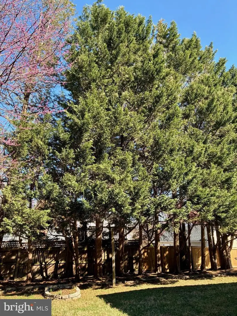 2753 Woodlawn Ave, Falls Church, VA 22042 - #3