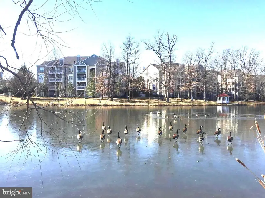 1705 Lake Shore Crest Dr #23, Reston, VA 20190 - #3