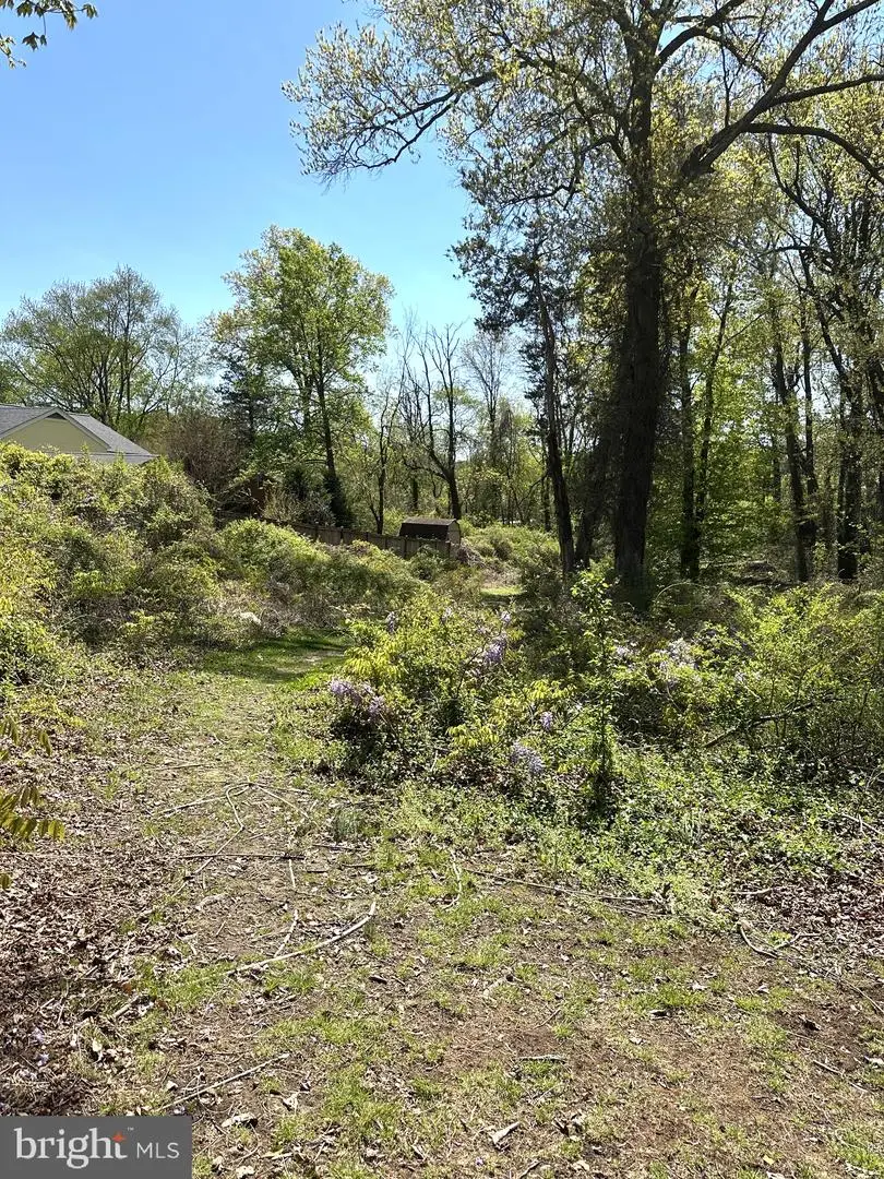 2419 Beacon Hill Rd, Alexandria, VA 22306 - #3