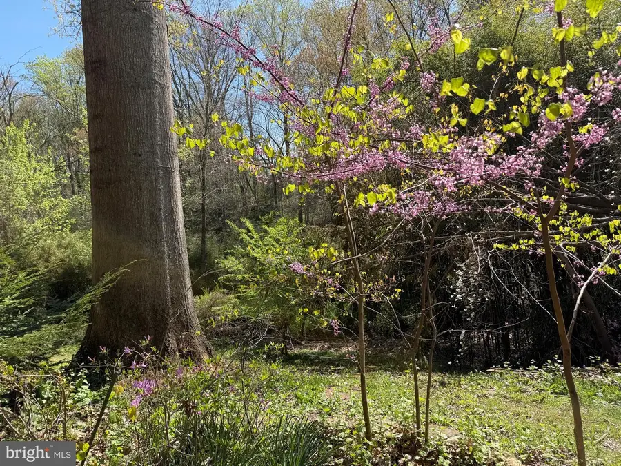 1107 Dead Run Dr, McLean, VA 22101 - #3