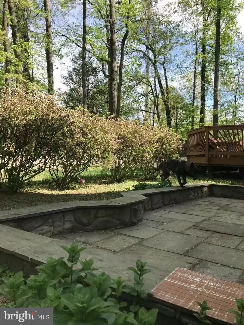 6209 Fernleigh Blvd, Springfield, VA 22152 - #3