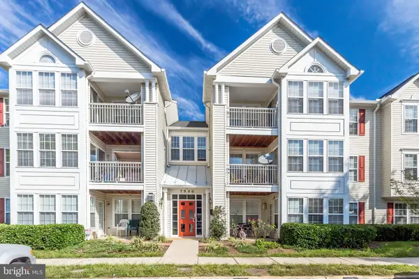7530 Coxton Ct #113, ALEXANDRIA, VA 22306