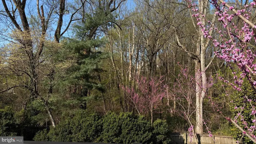 6309 Mori St, McLean, VA 22101 - #2