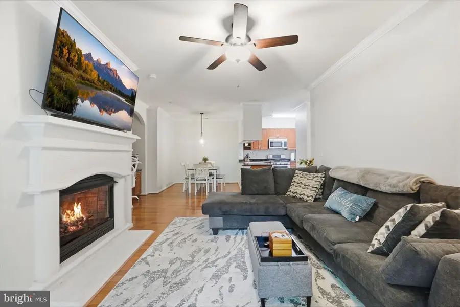 12148 Garden Grove Cir #303, Fairfax, VA 22030 - #3