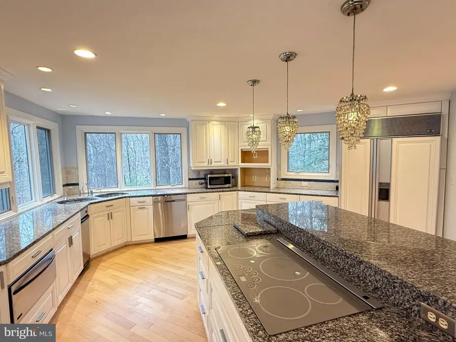 10701 Sycamore Springs Ln, Great Falls, VA 22066 - #3