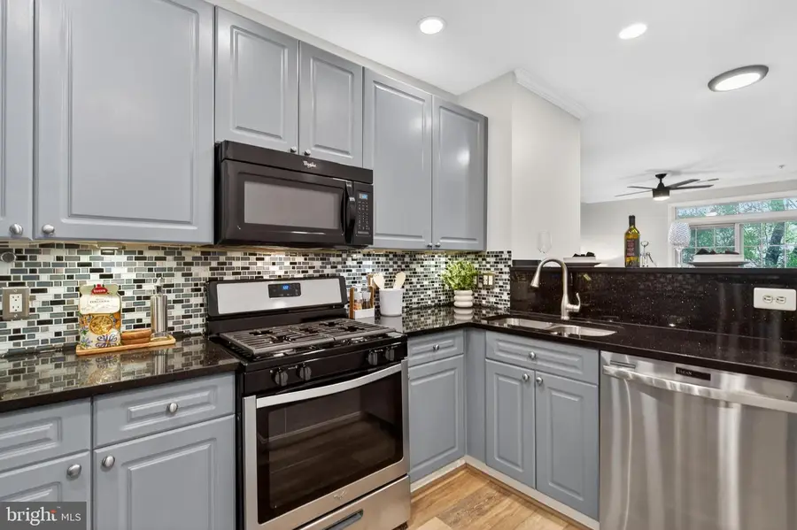 8181 Carnegie Hall Ct #301, Vienna, VA 22180 - #2