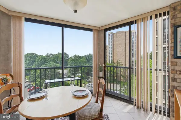 5902 Mount Eagle Dr #703, ALEXANDRIA, VA 22303