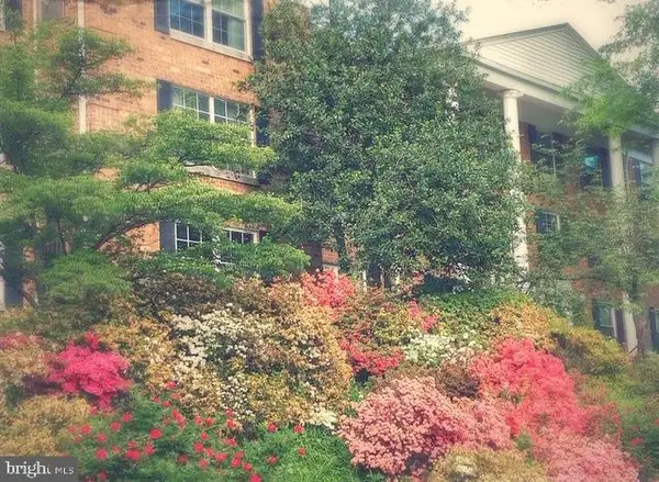 7621 Provincial Dr #211, MCLEAN, VA 22102
