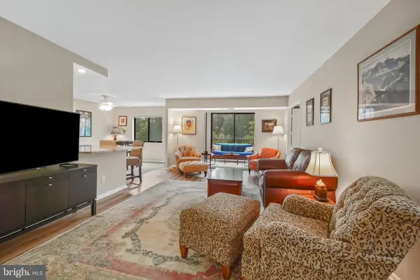 5902 Mount Eagle Dr #316, ALEXANDRIA, VA 22303