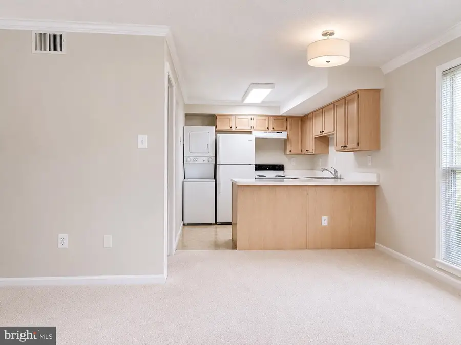 3123 Patrick Henry Dr #311, Falls Church, VA 22044 - #3