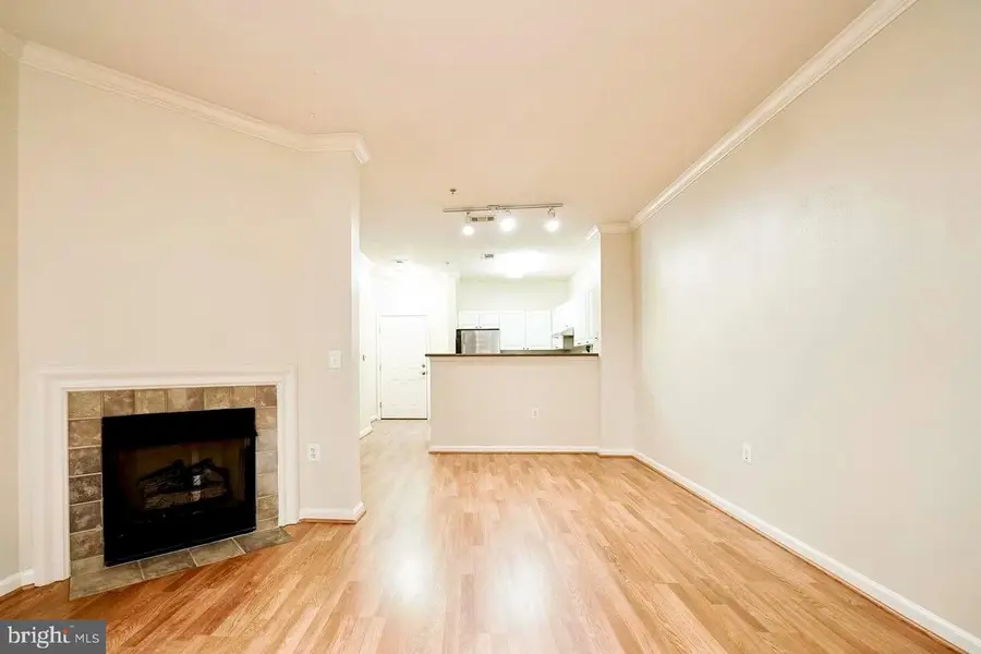 3021 Nicosh Cir #1103, Falls Church, VA 22042 - #3