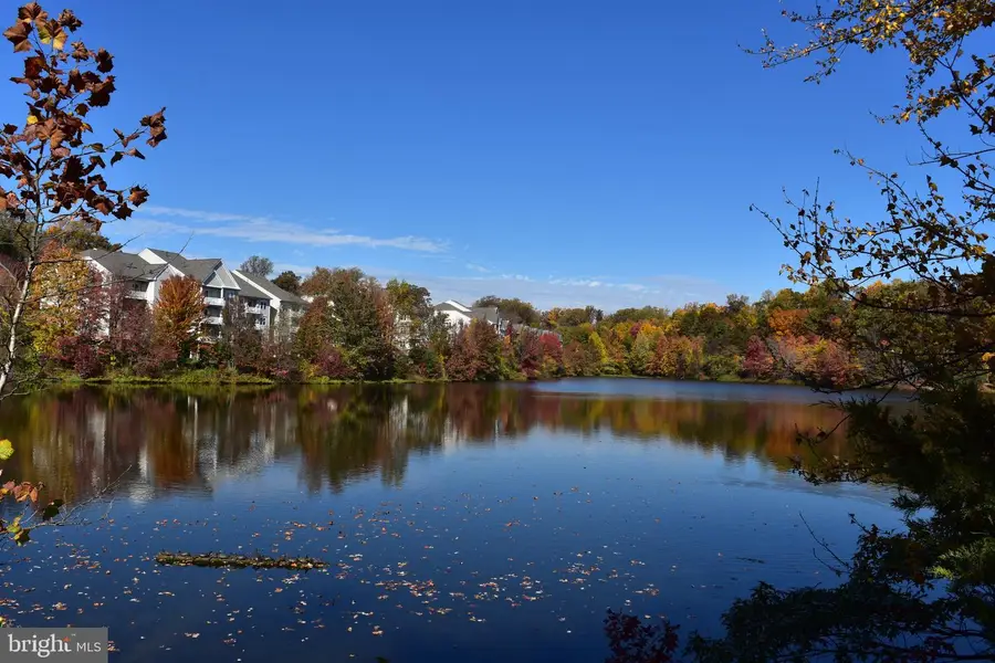 6863 Brindle Heath Way #179, Alexandria, VA 22315 - #3