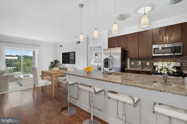 6301 Edsall Rd #613, ALEXANDRIA, VA 22312