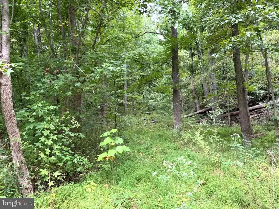 7522 Bay View Dr, Lorton, VA 22079 - #3