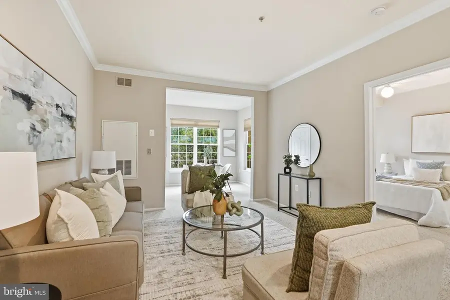 3009 Nicosh Cir #4306, Falls Church, VA 22042 - #3