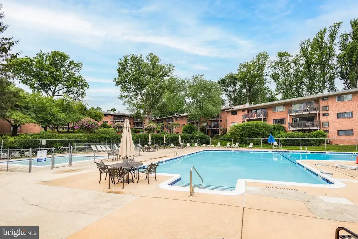 7368 Route 29 #103, Falls Church, VA 22046 - #1