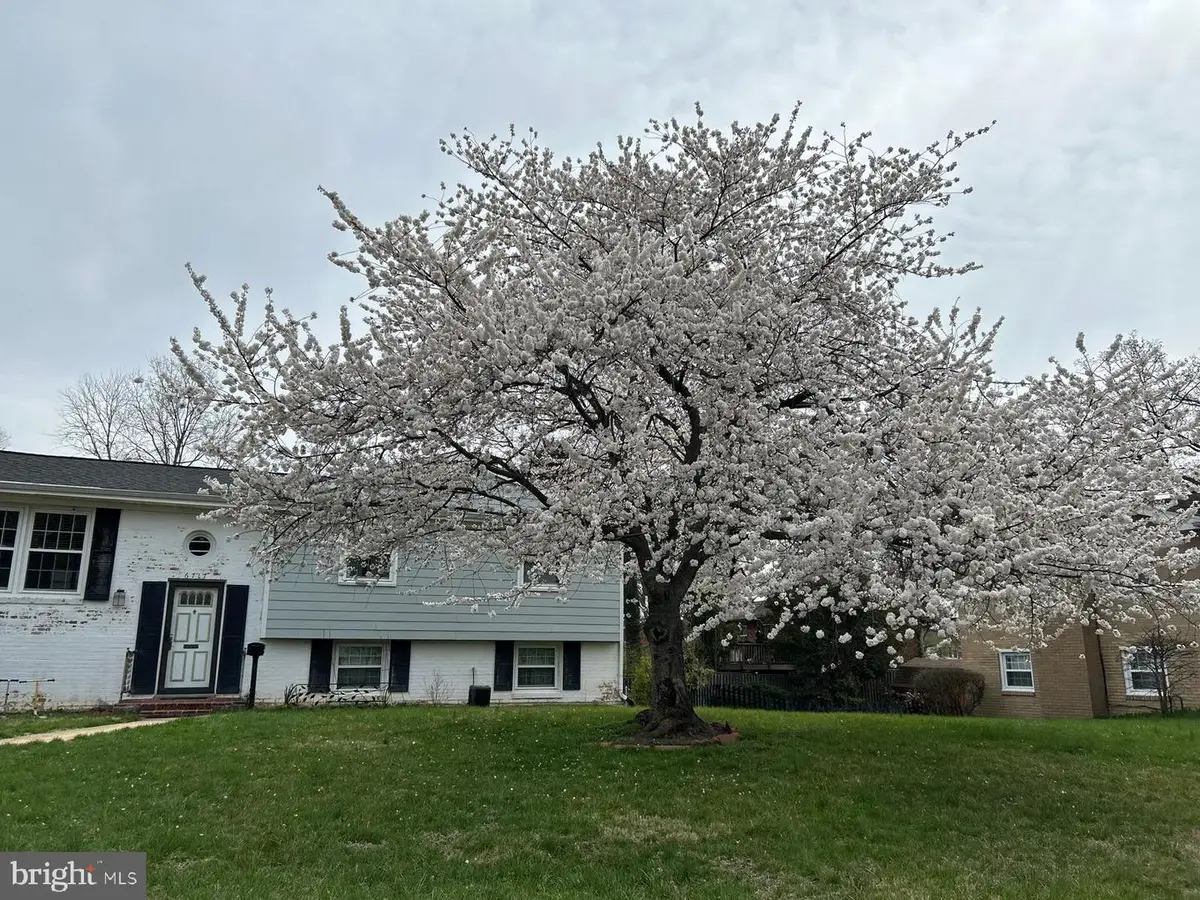 6717 Anthony St, Alexandria, VA 22306 - #1