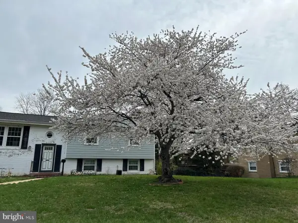 6717 Anthony St, ALEXANDRIA, VA 22306